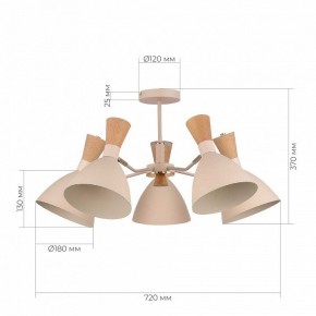 Люстра на штанге EVOLUCE VISTA SLE1256-502-05 в Качканаре - kachkanar.mebel24.online | фото 8