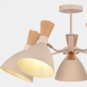 Люстра на штанге EVOLUCE VISTA SLE1256-502-05 в Качканаре - kachkanar.mebel24.online | фото 9