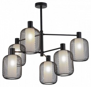 Люстра на штанге F-promo Tokri 4602-6C в Качканаре - kachkanar.mebel24.online | фото 2