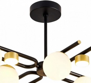 Люстра на штанге Favourite Soffiato 3048-8P в Качканаре - kachkanar.mebel24.online | фото 4