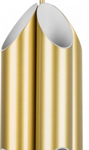 Люстра на штанге Lightstar Siena 720082 в Качканаре - kachkanar.mebel24.online | фото 3