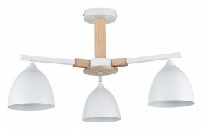 Люстра на штанге Lumion Colange 8095/3C в Качканаре - kachkanar.mebel24.online | фото