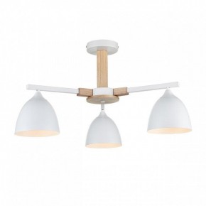 Люстра на штанге Lumion Colange 8095/3C в Качканаре - kachkanar.mebel24.online | фото 2