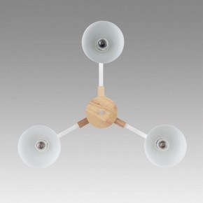 Люстра на штанге Lumion Colange 8095/3C в Качканаре - kachkanar.mebel24.online | фото 3