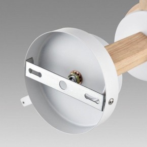 Люстра на штанге Lumion Colange 8095/3C в Качканаре - kachkanar.mebel24.online | фото 6