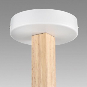 Люстра на штанге Lumion Colange 8095/3C в Качканаре - kachkanar.mebel24.online | фото 9