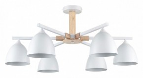 Люстра на штанге Lumion Colange 8095/6C в Качканаре - kachkanar.mebel24.online | фото