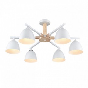 Люстра на штанге Lumion Colange 8095/6C в Качканаре - kachkanar.mebel24.online | фото 3