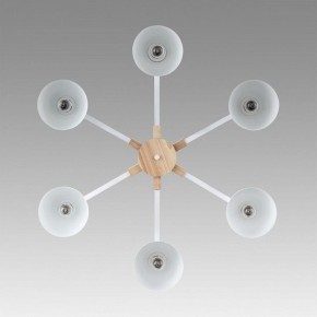 Люстра на штанге Lumion Colange 8095/6C в Качканаре - kachkanar.mebel24.online | фото 4