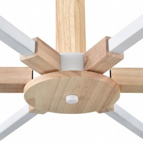 Люстра на штанге Lumion Colange 8095/6C в Качканаре - kachkanar.mebel24.online | фото 7