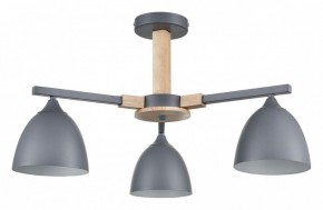 Люстра на штанге Lumion Colange 8096/3C в Качканаре - kachkanar.mebel24.online | фото
