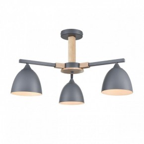 Люстра на штанге Lumion Colange 8096/3C в Качканаре - kachkanar.mebel24.online | фото 2