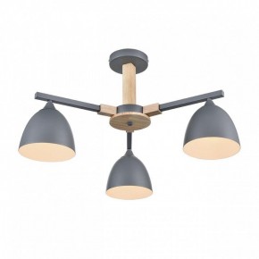 Люстра на штанге Lumion Colange 8096/3C в Качканаре - kachkanar.mebel24.online | фото 3