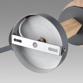 Люстра на штанге Lumion Colange 8096/3C в Качканаре - kachkanar.mebel24.online | фото 6