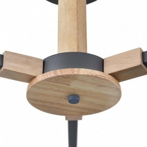 Люстра на штанге Lumion Colange 8096/3C в Качканаре - kachkanar.mebel24.online | фото 7