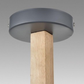 Люстра на штанге Lumion Colange 8096/3C в Качканаре - kachkanar.mebel24.online | фото 9