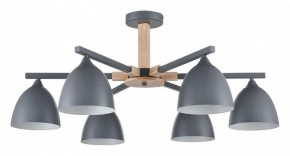 Люстра на штанге Lumion Colange 8096/6C в Качканаре - kachkanar.mebel24.online | фото