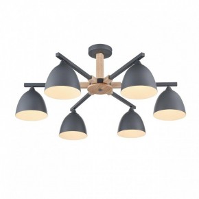 Люстра на штанге Lumion Colange 8096/6C в Качканаре - kachkanar.mebel24.online | фото 3