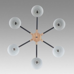 Люстра на штанге Lumion Colange 8096/6C в Качканаре - kachkanar.mebel24.online | фото 4