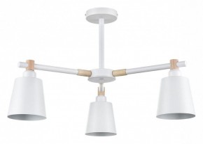 Люстра на штанге Lumion Rosalina 8097/3C в Качканаре - kachkanar.mebel24.online | фото