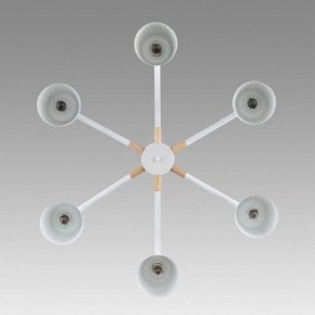 Люстра на штанге Lumion Rosalina 8097/6C в Качканаре - kachkanar.mebel24.online | фото 4
