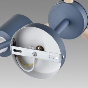Люстра на штанге Lumion Rosalina 8098/6C в Качканаре - kachkanar.mebel24.online | фото 6