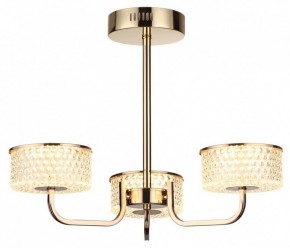 Люстра на штанге Lumion Venice 6579/40CL в Качканаре - kachkanar.mebel24.online | фото 5