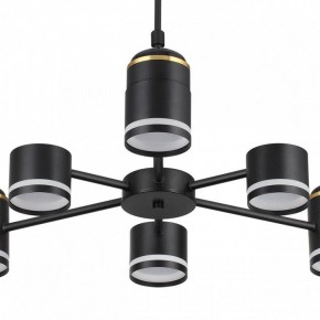 Люстра на штанге Lumion Virsava 8234/6C в Качканаре - kachkanar.mebel24.online | фото 10