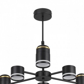 Люстра на штанге Lumion Virsava 8234/6C в Качканаре - kachkanar.mebel24.online | фото 5