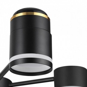 Люстра на штанге Lumion Virsava 8234/6C в Качканаре - kachkanar.mebel24.online | фото 8