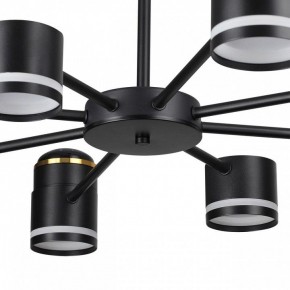 Люстра на штанге Lumion Virsava 8234/8C в Качканаре - kachkanar.mebel24.online | фото 10