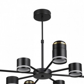 Люстра на штанге Lumion Virsava 8234/8C в Качканаре - kachkanar.mebel24.online | фото 5