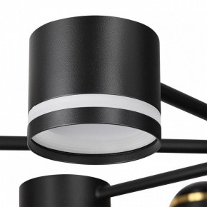 Люстра на штанге Lumion Virsava 8234/8C в Качканаре - kachkanar.mebel24.online | фото 8