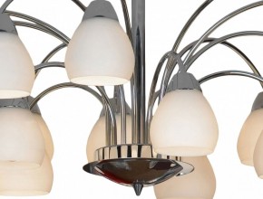 Люстра на штанге Lussole Apiro LSF-2403-15 в Качканаре - kachkanar.mebel24.online | фото 2