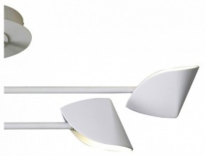Люстра на штанге Mantra Capuccina 7574 в Качканаре - kachkanar.mebel24.online | фото 3