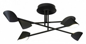 Люстра на штанге Mantra Capuccina 7581 в Качканаре - kachkanar.mebel24.online | фото 1