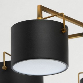Люстра на штанге MW-Light Сайрус 2 721010205 в Качканаре - kachkanar.mebel24.online | фото 10