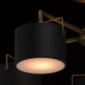 Люстра на штанге MW-Light Сайрус 2 721010205 в Качканаре - kachkanar.mebel24.online | фото 6