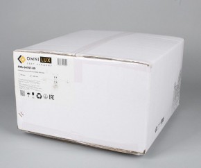 Люстра на штанге Omnilux Alghero OML-64707-09 в Качканаре - kachkanar.mebel24.online | фото 5