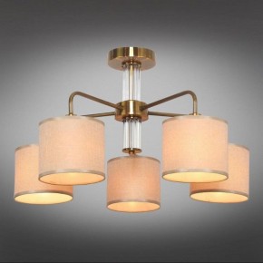 Люстра на штанге Omnilux Barumini OML-56907-05 в Качканаре - kachkanar.mebel24.online | фото 2