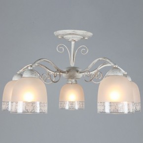 Люстра на штанге Omnilux Ferraro OML-54907-05 в Качканаре - kachkanar.mebel24.online | фото 4