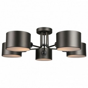 Люстра на штанге Omnilux Lisera OML-54507-05 в Качканаре - kachkanar.mebel24.online | фото 2