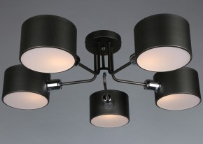 Люстра на штанге Omnilux Lisera OML-54507-05 в Качканаре - kachkanar.mebel24.online | фото 3