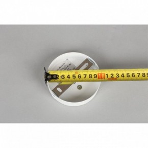Люстра на штанге Omnilux Mearino OML-29717-08 в Качканаре - kachkanar.mebel24.online | фото 10
