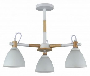 Люстра на штанге Rivoli Louise Б0060982 в Качканаре - kachkanar.mebel24.online | фото