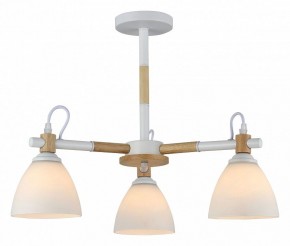Люстра на штанге Rivoli Louise Б0060982 в Качканаре - kachkanar.mebel24.online | фото 2