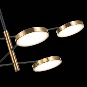 Люстра на штанге ST-Luce Farone SL1605.413.06 в Качканаре - kachkanar.mebel24.online | фото 7