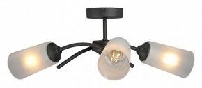 Люстра на штанге Vitaluce V2850 V2850-1/3PL в Качканаре - kachkanar.mebel24.online | фото