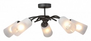 Люстра на штанге Vitaluce V2850 V2850-1/5PL в Качканаре - kachkanar.mebel24.online | фото