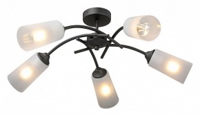 Люстра на штанге Vitaluce V2850 V2850-1/5PL в Качканаре - kachkanar.mebel24.online | фото 2